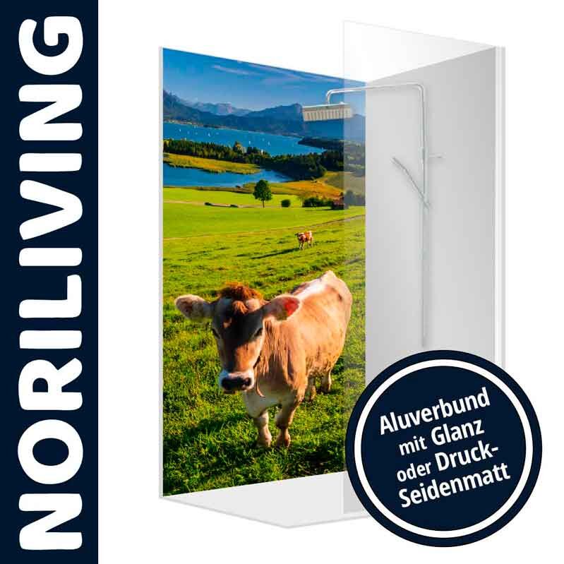 Duschwand von Noriliving mit idyllischem Kuh-Motiv und Berglandschaft, erhältlich in Aluverbund mit Glanz oder Druck-Seidenmatt