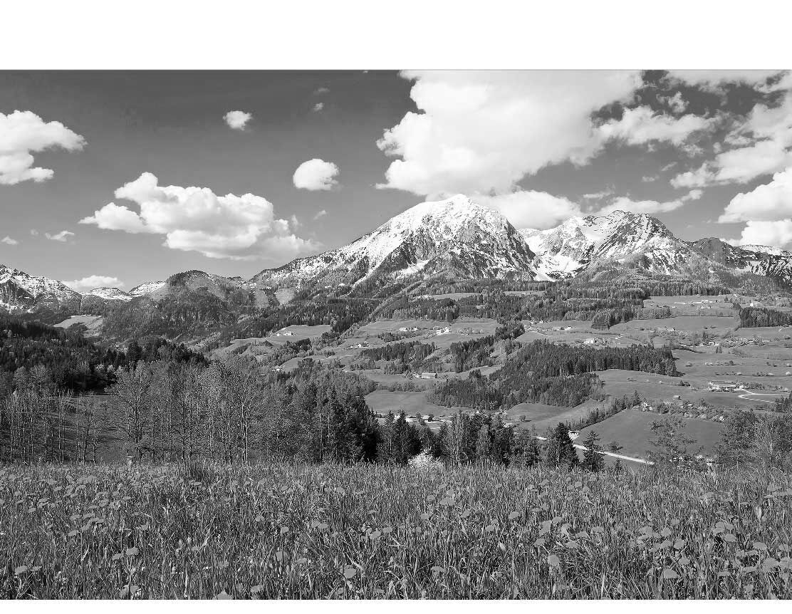 Ansicht des Duschrückwand-Motivs Alpenlandschaft im Frühling 453 schwarz-weiß