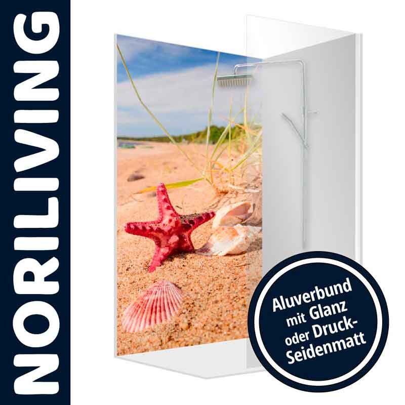 Strandmotiv mit rotem Seestern und Muscheln auf einem Fotodruck, montiert auf einer Wandplatte von Noriliving, erhältlich mit glänzendem oder seidenmattem Alubund