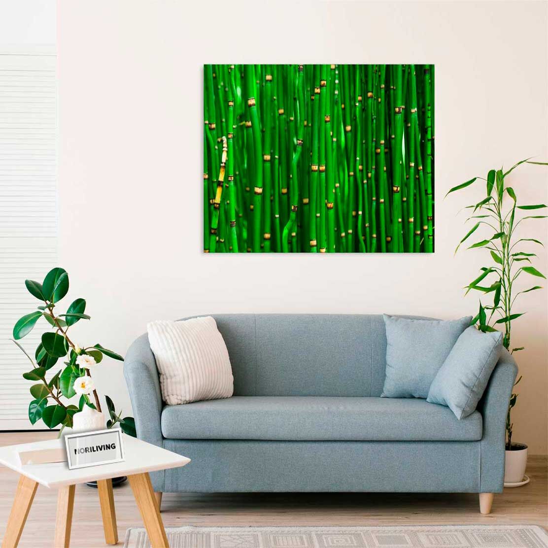 Wandbild über dem Sofa mit Motiv Feiner Bambus 970