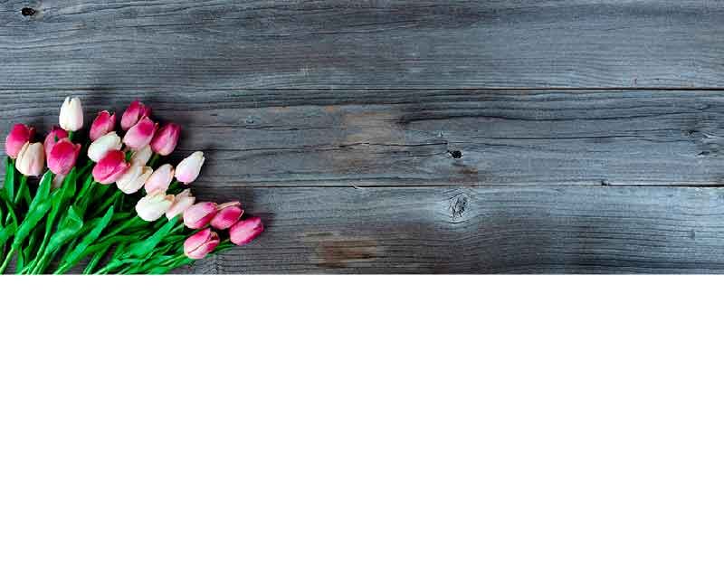 Ein Strauß aus rosa und weißen Tulpen liegt auf einem rustikalen Holztisch.