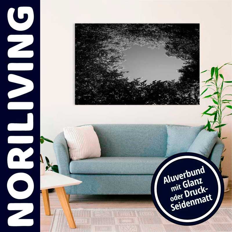 Wohnzimmer mit blauem Sofa und einem schwarz-weißen Aluverbund Wandbild über dem Sofa