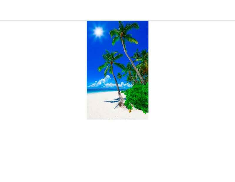 Tropischer Strand mit Palmen, blauem Himmel und strahlender Sonne