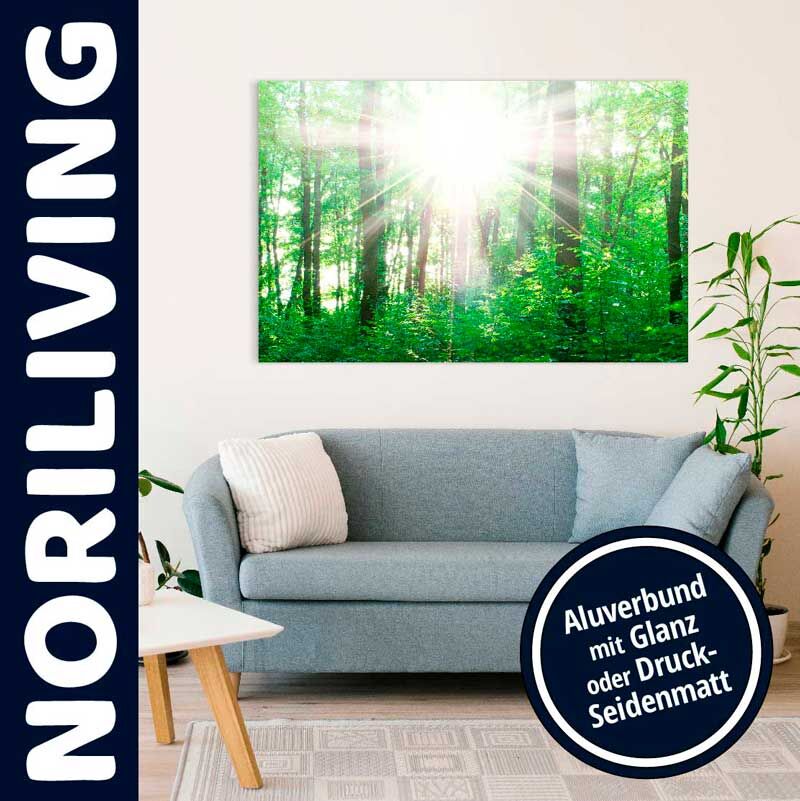 Modernes Wohnzimmer mit hellblauem Sofa und einem Wandbild eines sonnendurchfluteten Waldes, gedruckt auf Aluverbund in Glanz oder Druck-Seidenmatt von NORILIVING