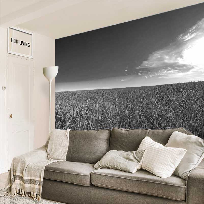 im Wohnzimmer eingebaute Wohnzimmerrückwand mit Motiv grünes Weizenfeld mit blauem Himmel 835 schwarz-weiß