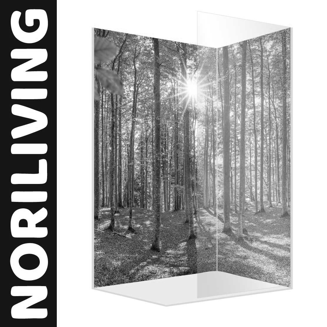 Abbildung einer Eck-Duschrückwand mit Motiv Herbstwald mit Buchen und Sonnenstrahlen 138 schwarz-weiß