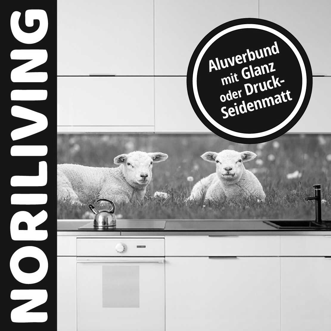 Abbildung einer Küchenrückwand mit Motiv Neugeborene Zwillingslämmer auf üppiger grüner Wiese im Frühling 434 schwarz-weiß