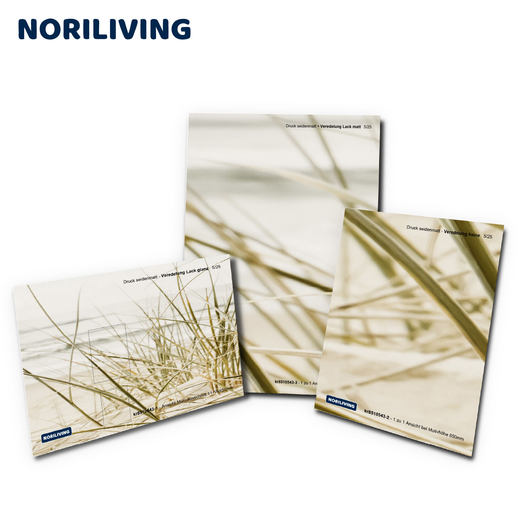 Verschiedene noriliving Kunstdrucke mit seidenmattem Finish und Grasmuster