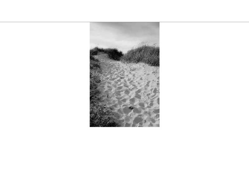 Ein sandiger Pfad schlängelt sich durch eine Dünenlandschaft, gesäumt von Gras und bewölktem Himmel, in Schwarz-Weiß-Fotografie.