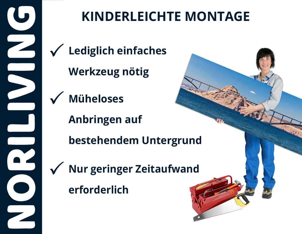 Noriliving Montagehinweise: Person mit Bild, Werkzeug nötig, schneller Aufbau