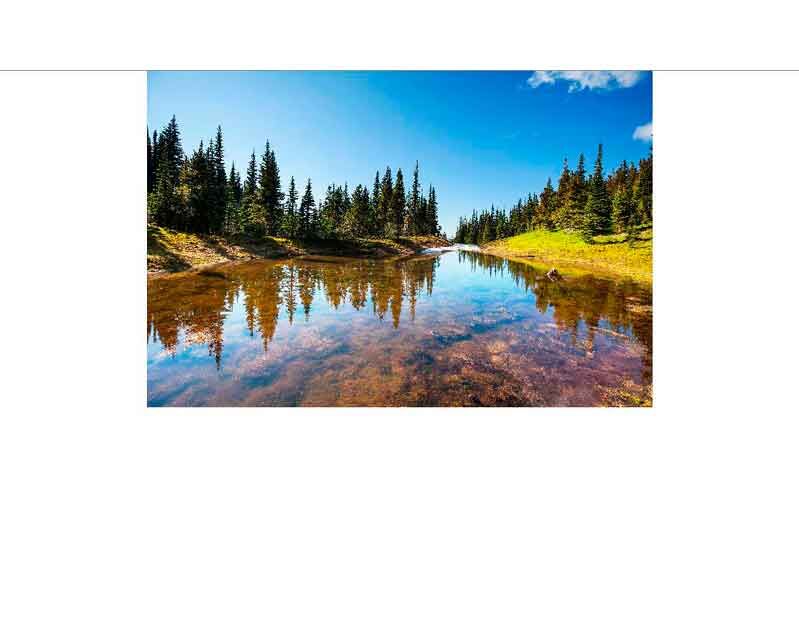 Ein ruhiger See, umgeben von Nadelbäumen unter einem klaren, blauen Himmel, spiegelt die Landschaft wider.