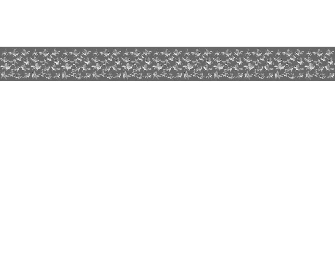Ansicht des Küchenrückwand-Motivs Goldfische 342 schwarz-weiß