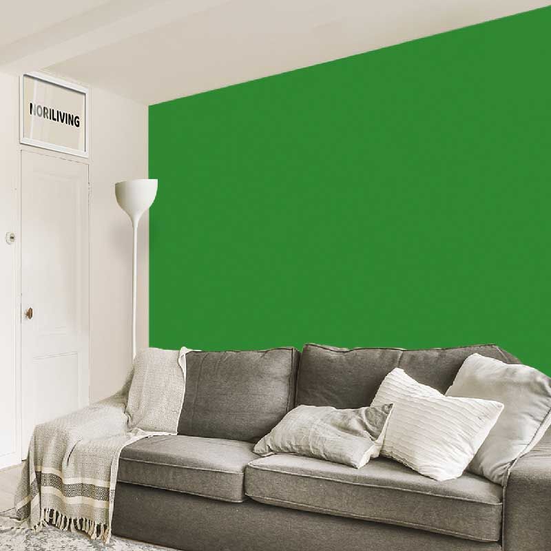im Wohnzimmer eingebaute Wohnzimmerrückwand mit Motiv Unifarbe Grün 2331