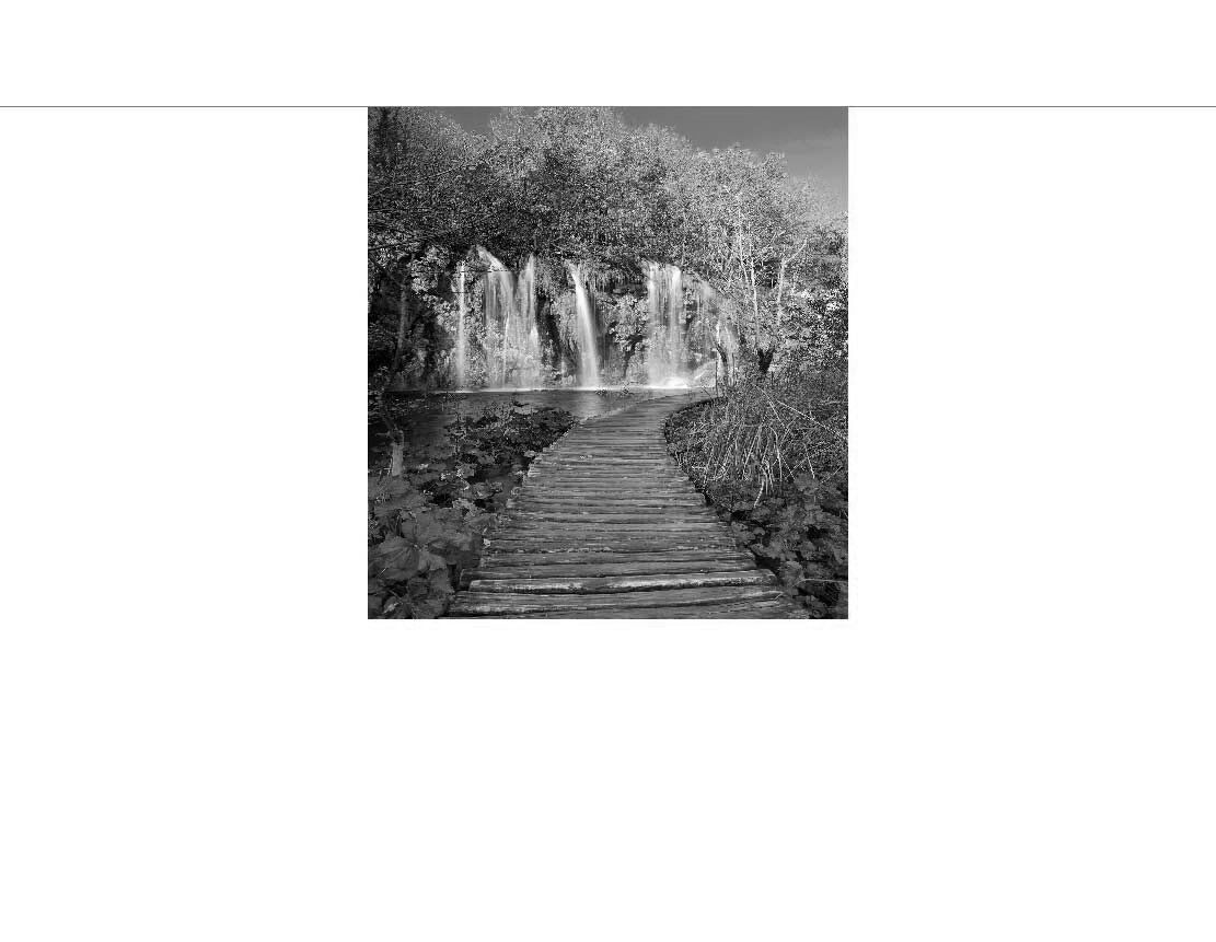 Ein schmaler Holzweg führt durch einen bewaldeten Bereich zu einem Wasserfall.