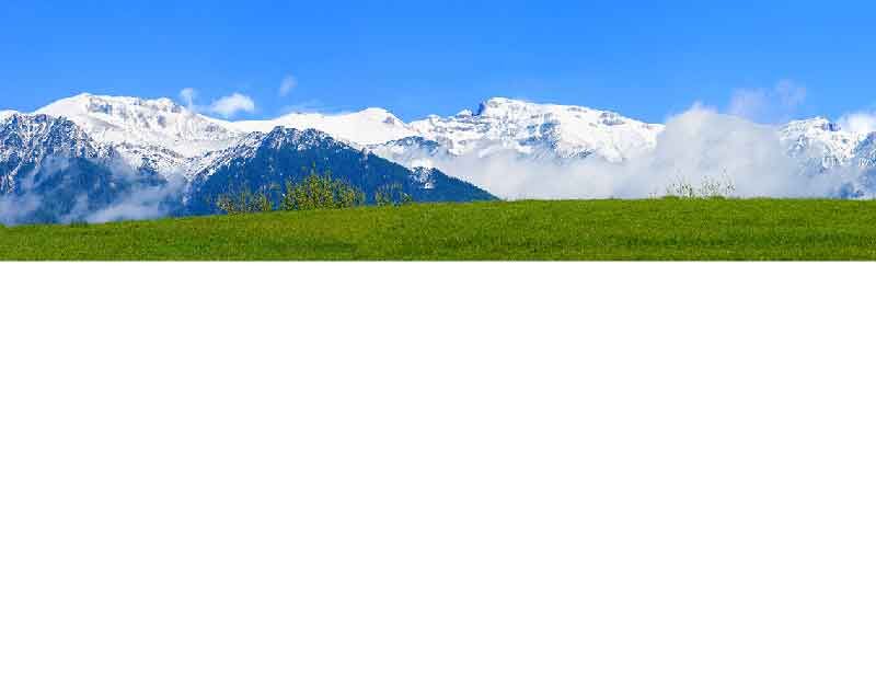 Panorama schneebedeckter Berge und grüne Wiese an einem klaren Tag