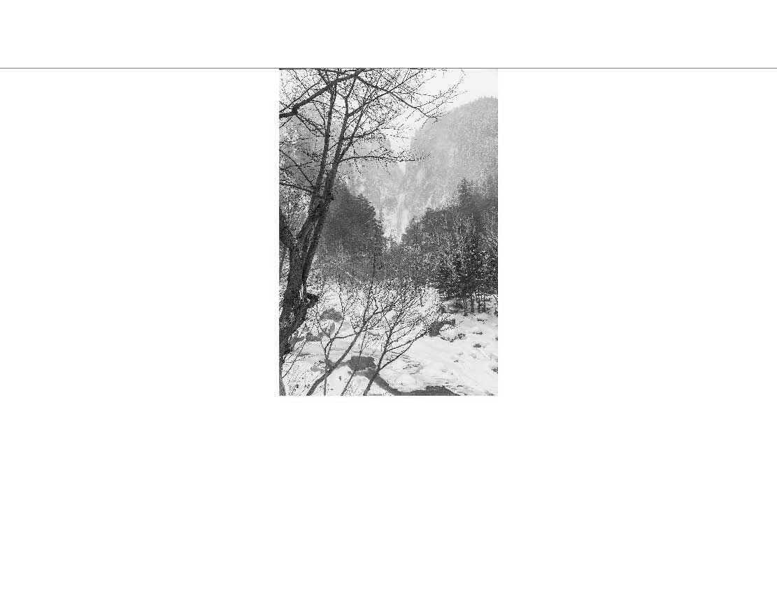 Schwarz-Weiß-Bild einer winterlichen Landschaft mit Schnee, Bäumen und Bergen im Hintergrund