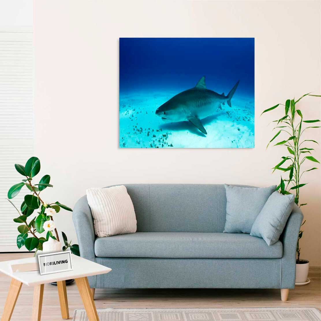 Wandbild über dem Sofa mit Motiv Tigerhai unter Wasser 604