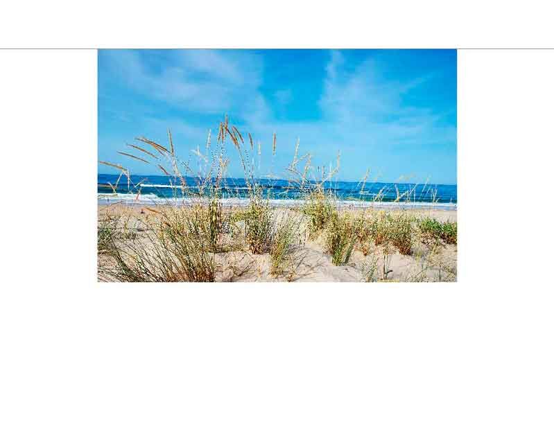 Strand mit Dünen und Gräsern am Meer unter einem klaren blauen Himmel
