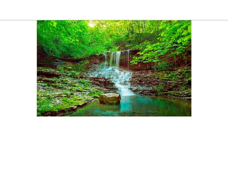 Ein kleiner Wasserfall fließt über Felsen inmitten eines dichten, grünen Waldes.