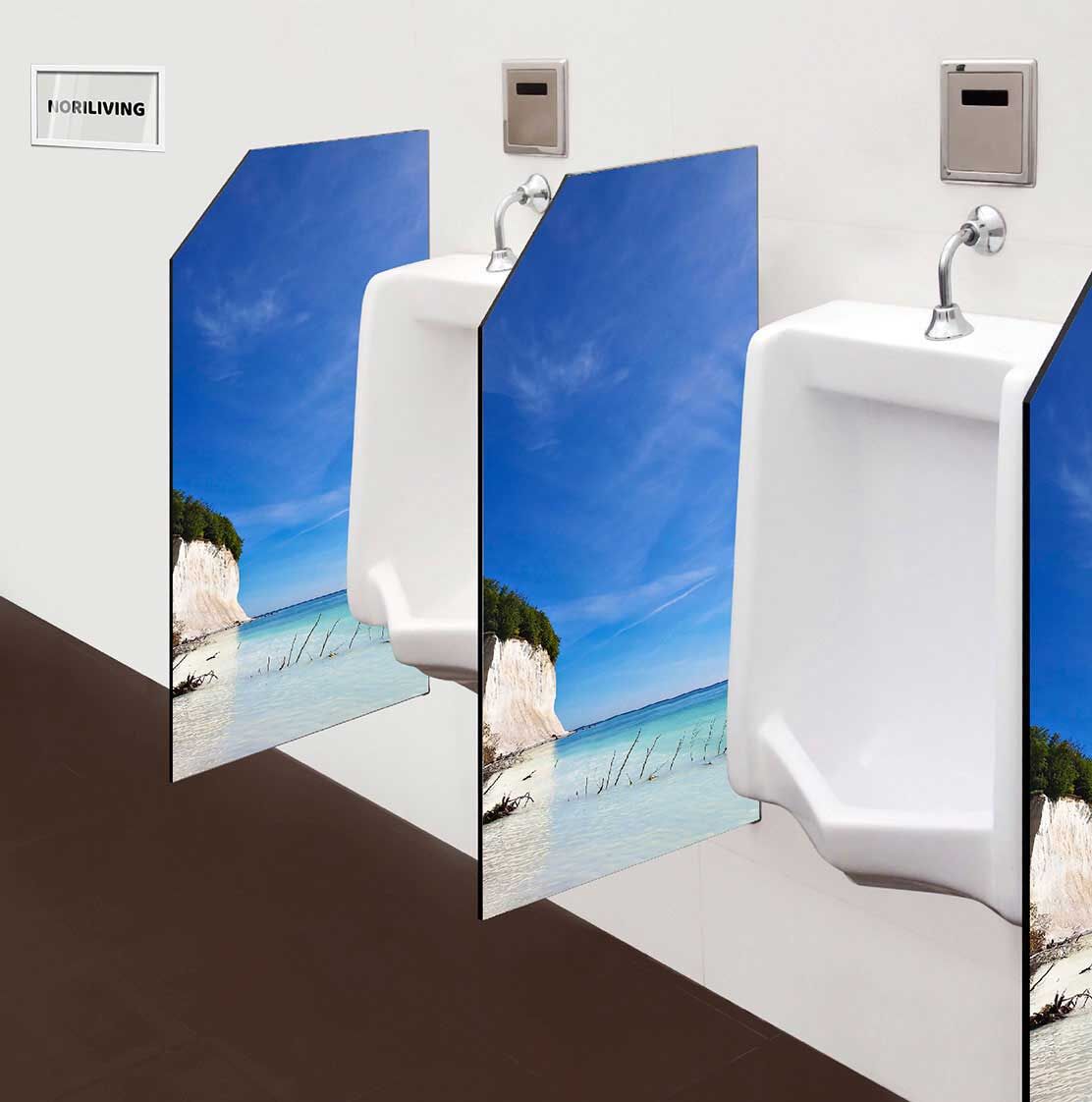 in der Toilette eingebaute Schamwand mit Motiv Die Ostseeküste auf Rügen 936