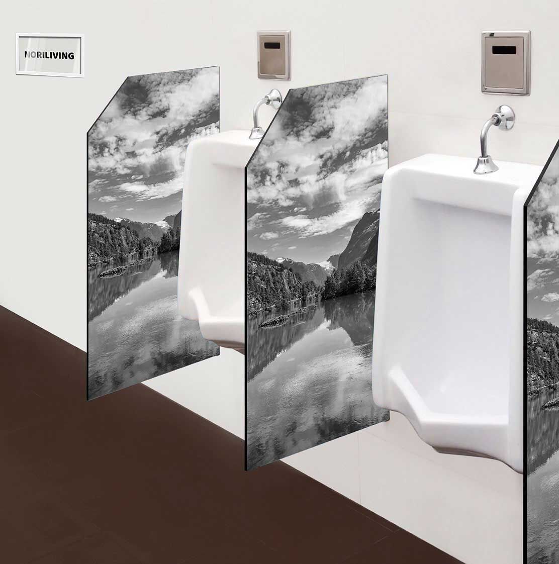 in der Toilette eingebaute Schamwand mit Motiv Gebirgssee in Norwegen 798 schwarz-weiß