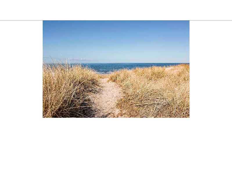 Ein Pfad führt durch grasbewachsene Dünen zu einem ruhigen, blauen Meer unter klarem Himmel.