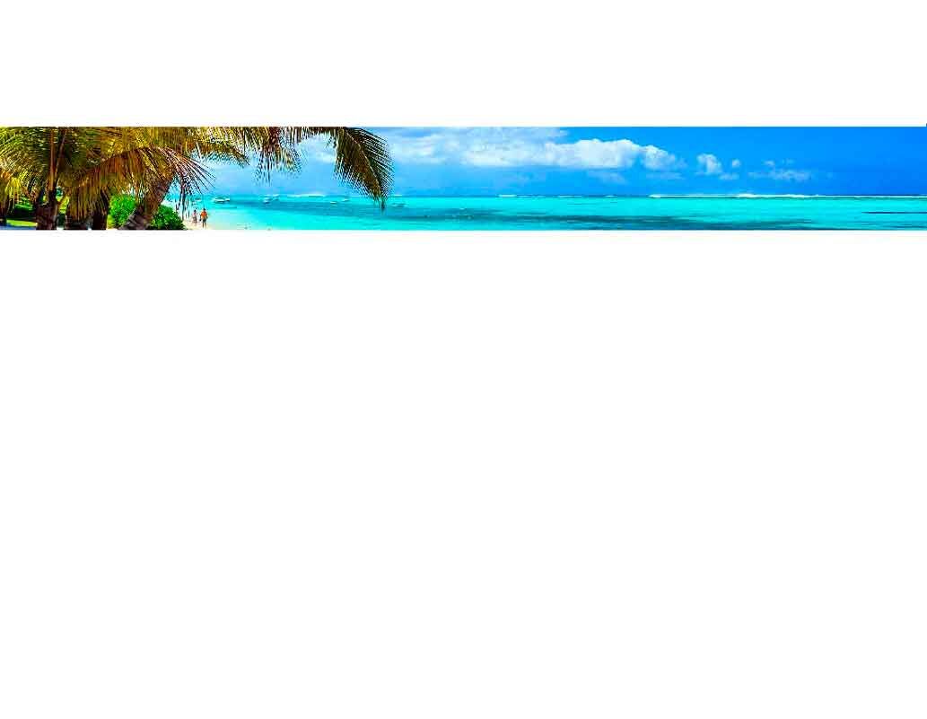 Ein idyllischer Strand mit Palmen, türkisblauem Wasser und blauem Himmel.