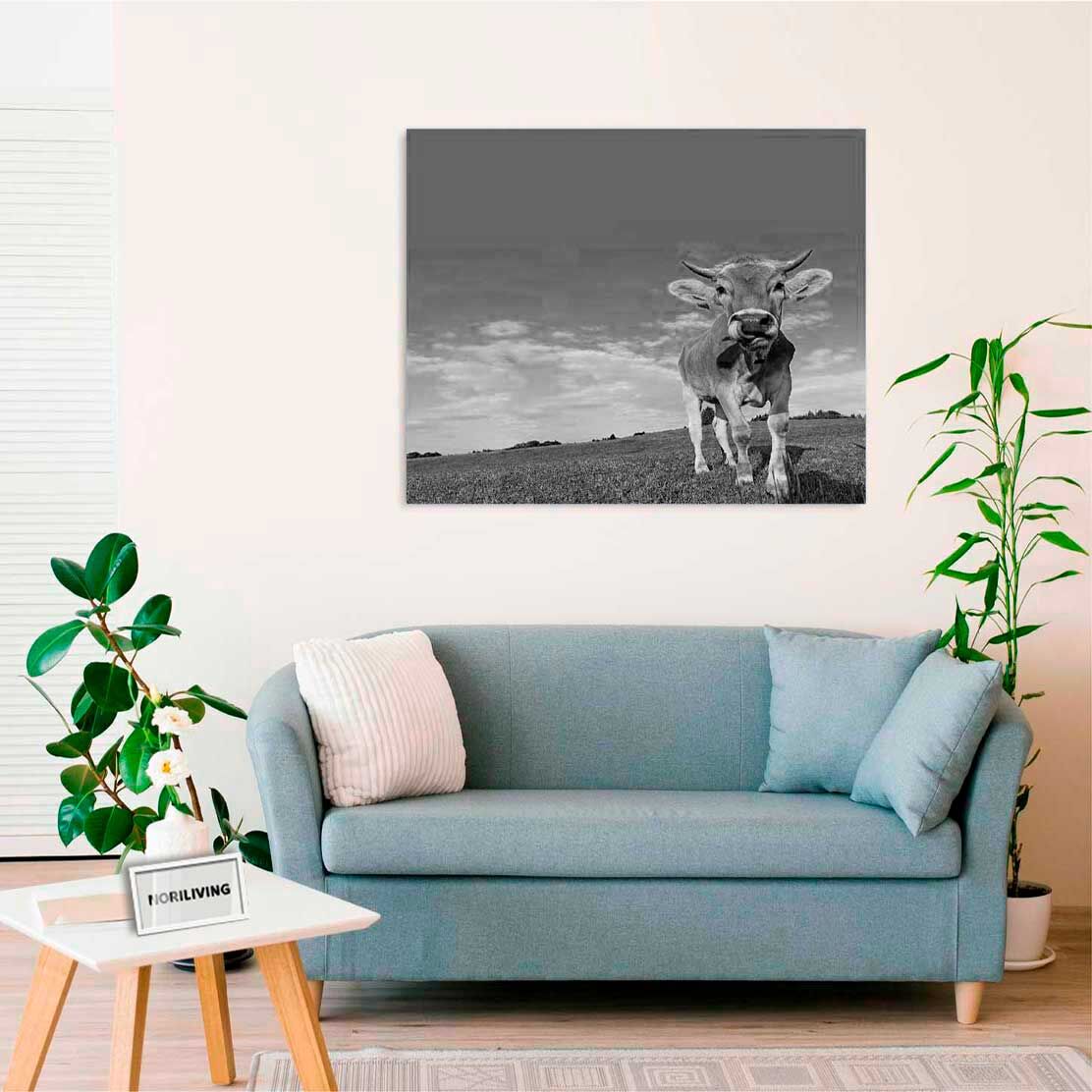 Wandbild über dem Sofa mit Motiv Kuh auf der Weide 603 schwarz-weiß