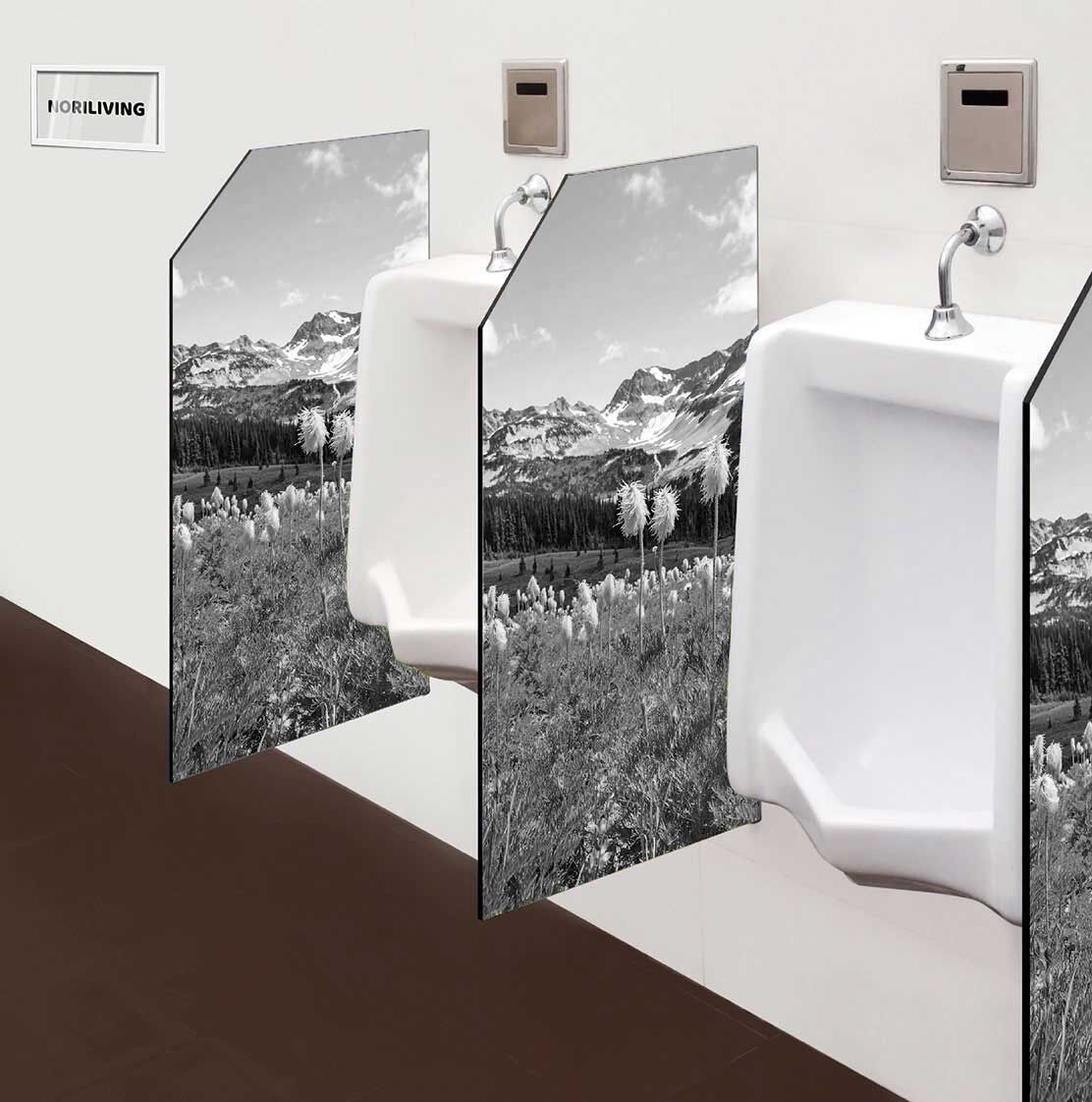 in der Toilette eingebaute Schamwand mit Motiv Bergwiese an sommerlichem Tag 284 schwarz-weiß