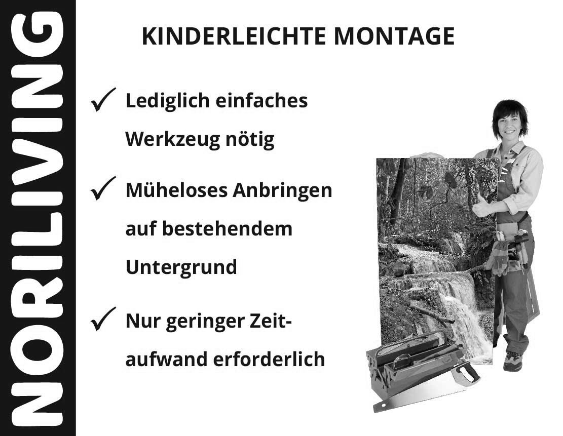 NORILIVING-Montage-Anleitung mit Person, die ein Landschaftsbild hält und Werkzeugkasten