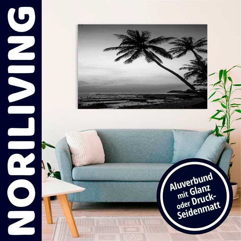 Ein stilvolles Wohnzimmer mit einem großen Wandbild von Palmen am Strand, gedruckt auf Alu-Druck Material, umrahmt von einer hellblauen Couch und Pflanzen
