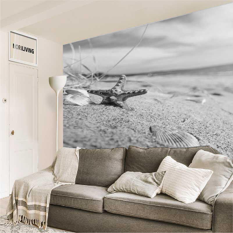 im Wohnzimmer eingebaute Wohnzimmerrückwand mit Motiv Seesterne und Muscheln am Strand 311 schwarz-weiß