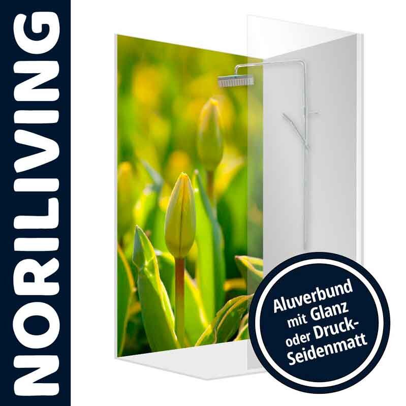Duschtrennwand mit grünem Tulpenmotiv, angeboten von Noriliving, erhältlich in glänzendem Aluverbund oder mattiertem Druck.