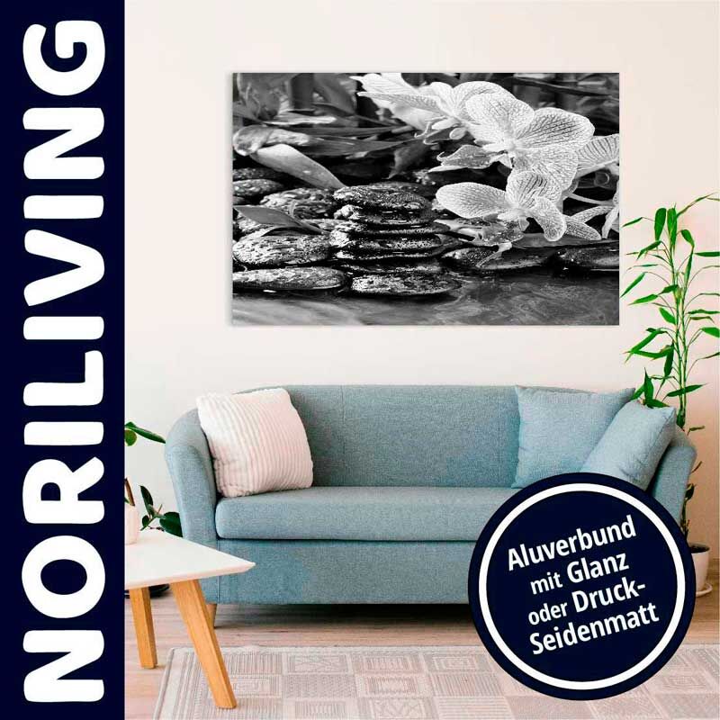 Ein stilvolles Wohnzimmer mit blauem Sofa, dekorativen Kissen, einer Pflanze und einem eindrucksvollen Leinwandbild an der Wand. Das Bild zeigt Steine und Blätter in Schwarz-Weiß.