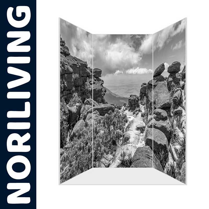 Raumteiler mit schwarz-weißem Landschaftsmotiv von Noriliving