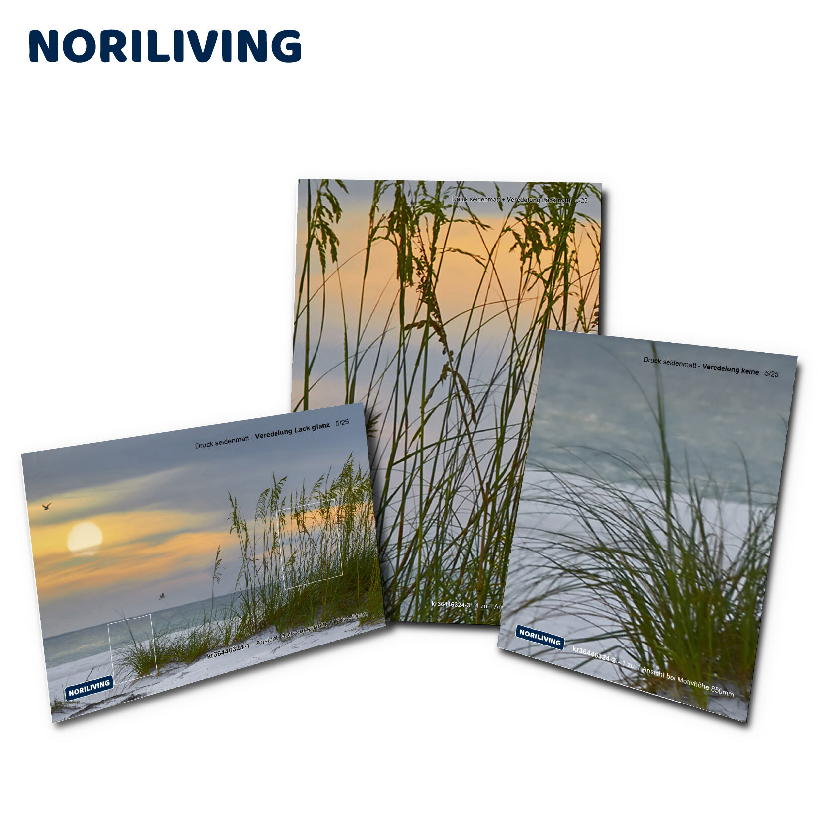 Drei Leinwandbilder mit Meereslandschaft und Gras, erhältlich bei NORILIVING