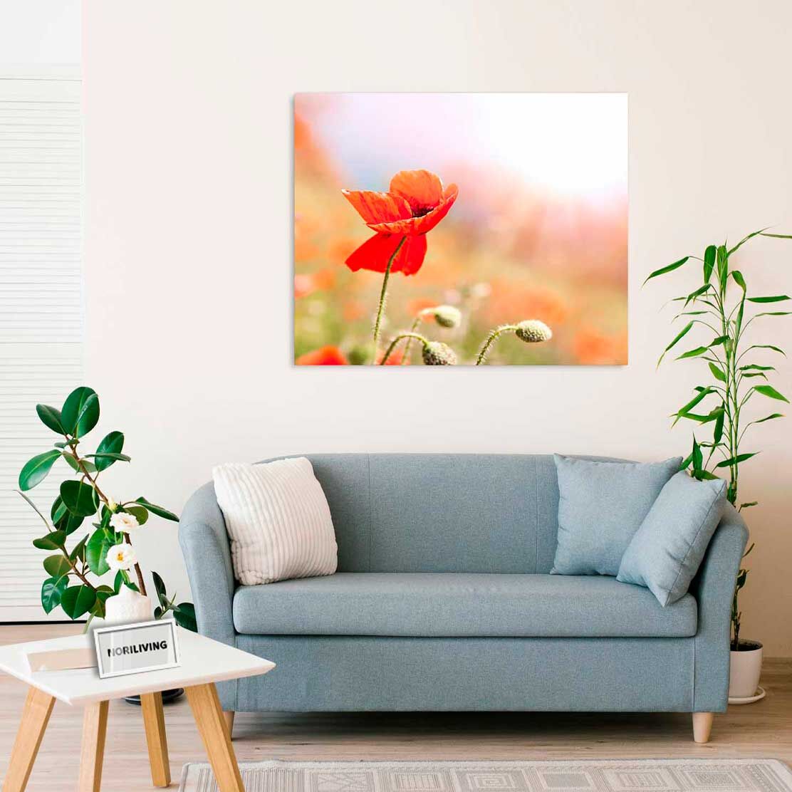Wandbild über dem Sofa mit Motiv Mohn im Feld 484