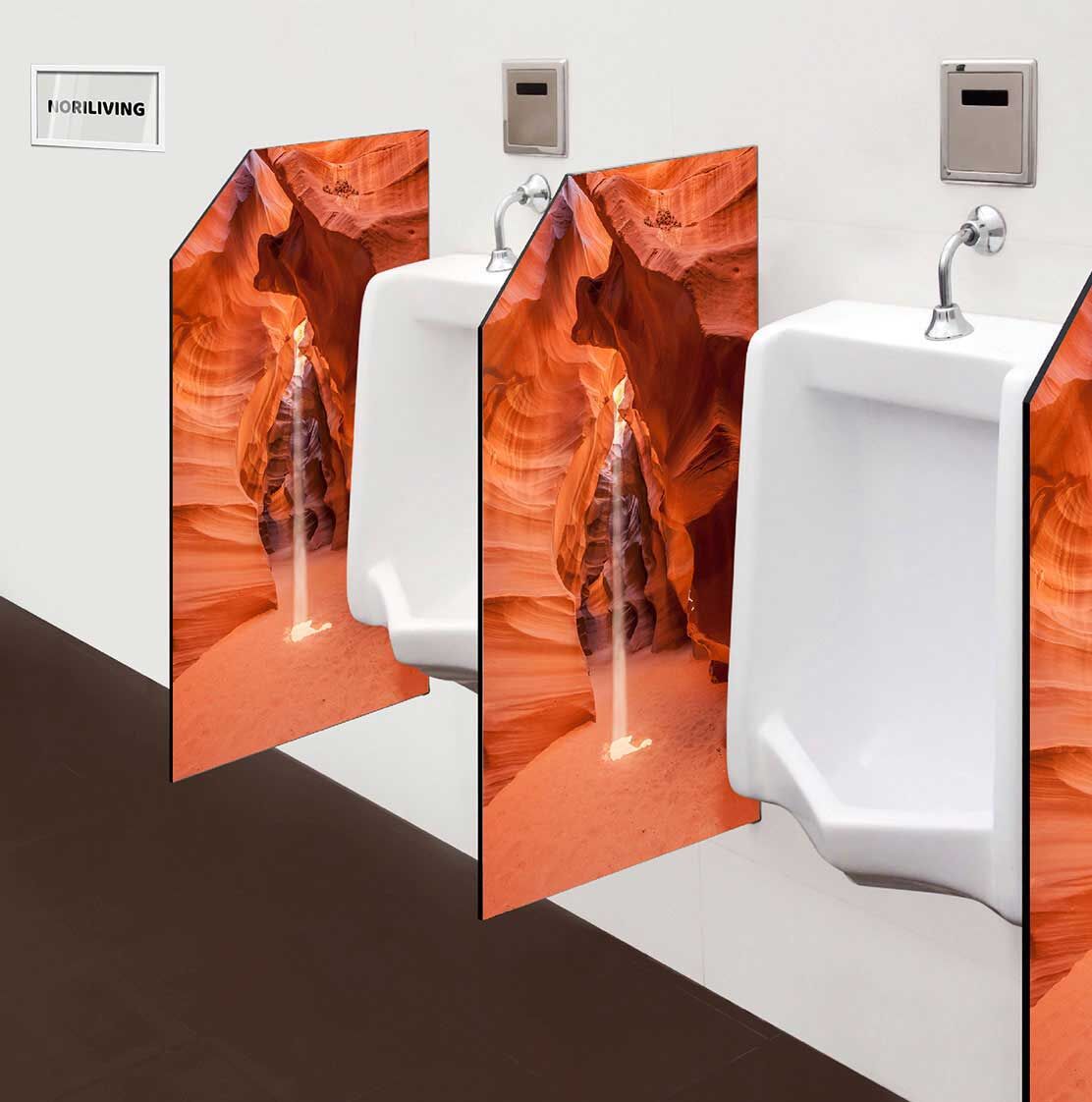 in der Toilette eingebaute Schamwand mit Motiv Schlitzschlucht in den USA 505