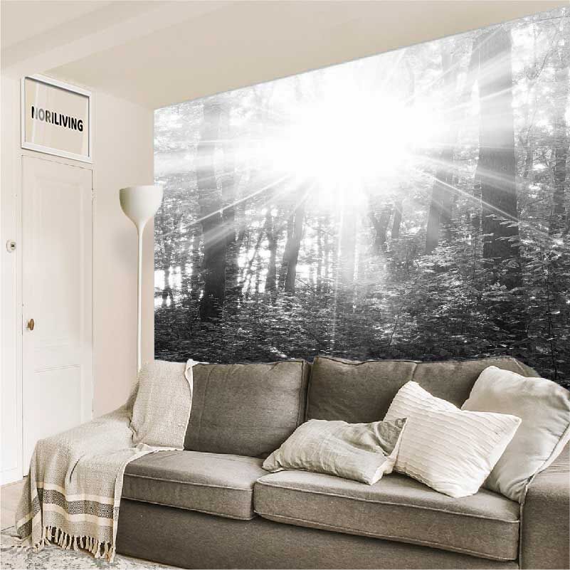 im Wohnzimmer eingebaute Wohnzimmerrückwand mit Motiv helle Sonnenstrahlen in einem grünen Wald 018 schwarz-weiß