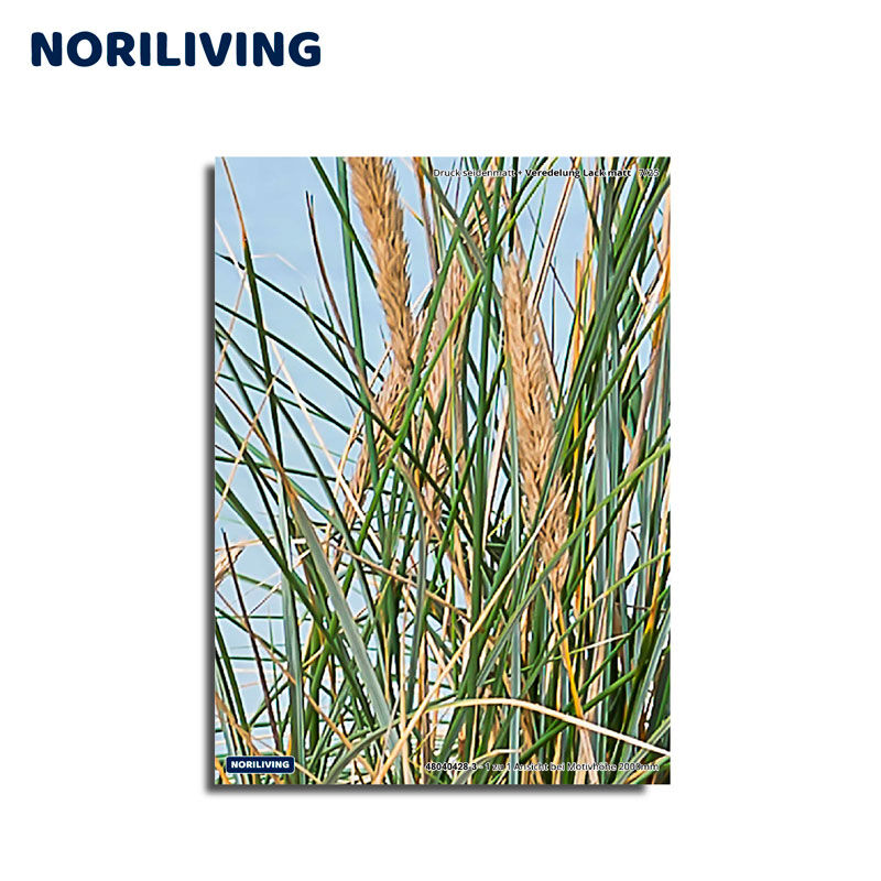 Ein Wandbild von Noriliving, das grünes Gras und Ähren gegen einen blauen Himmel zeigt, Größe 40x50 cm