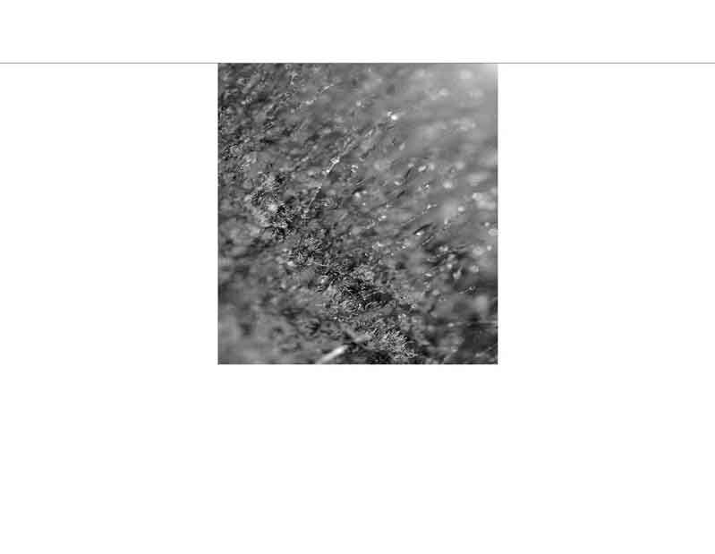 Detailansicht einer strukturierten Oberfläche, schwarz-weiß, unscharf, mit Textur