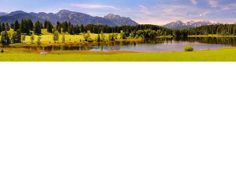 Ein malerischer Bergsee in einer grünen Landschaft, umgeben von Bäumen und Bergen auf der Rückseite, unter einem klaren blauen Himmel