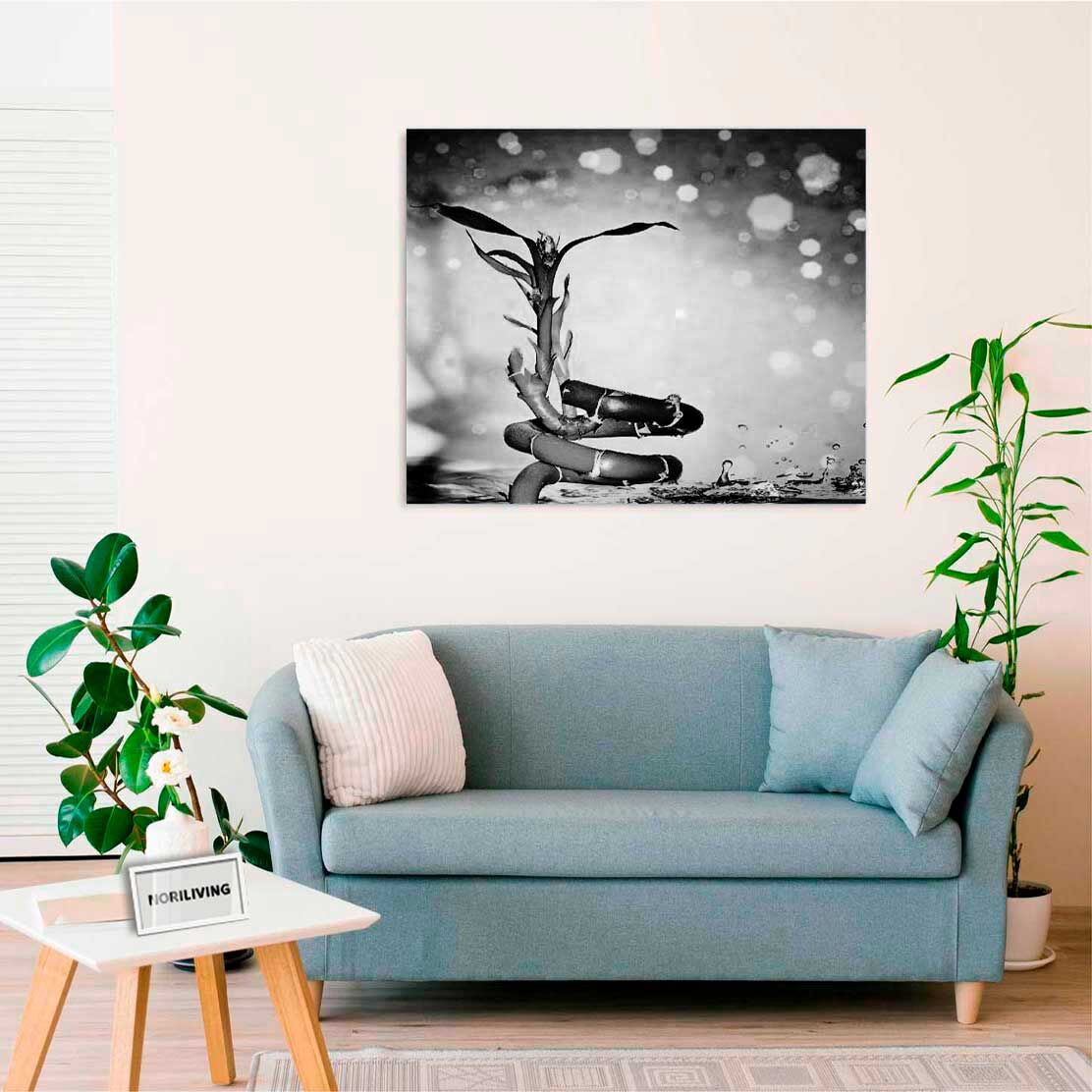 Wandbild über dem Sofa mit Motiv Bambus mit Wassertropfen 486 schwarz-weiß
