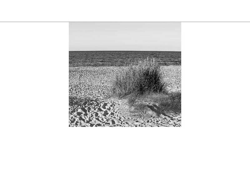 Ein ruhiger Strand mit Sand und Gräsern in Schwarzweiß, im Hintergrund das Meer