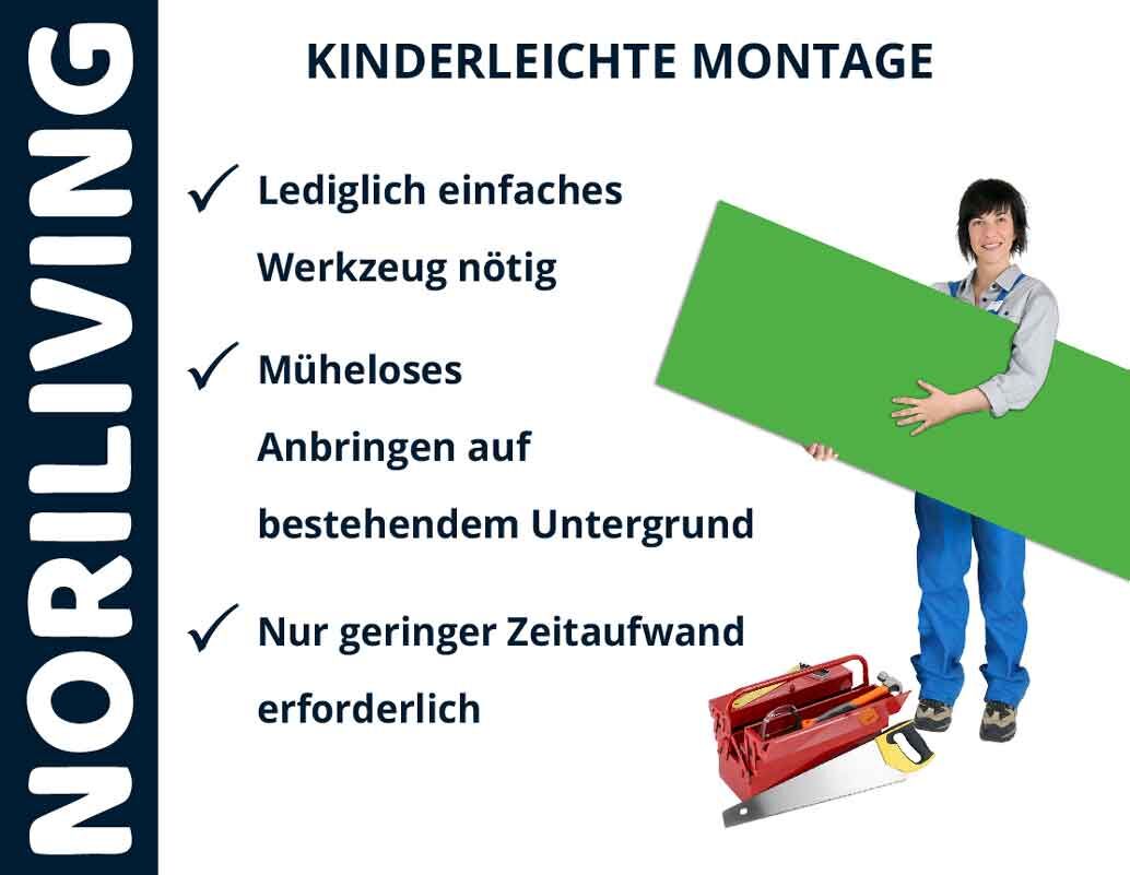 Person hält grünes Brett mit Werkzeugkasten, Text: Kinderleichte Montage, Lediglich einfaches Werkzeug nötig, Müheloses Anbringen auf bestehendem Untergrund, Nur geringer Zeitaufwand erforderlich