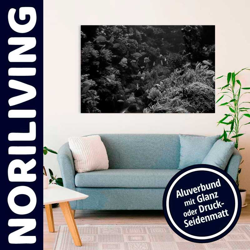 Interieur mit blauem Sofa und schwarzem Wandbild aus Aluverbund von NORILIVING, texturiert mit Glanz oder Druck-Seidenmatt.