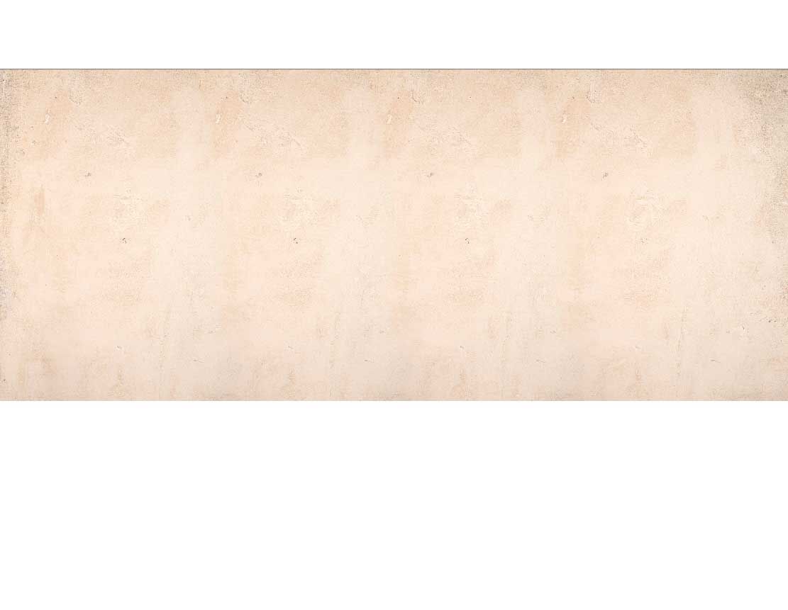 Schamwand Alu verputzte Steinmauer Beige 981