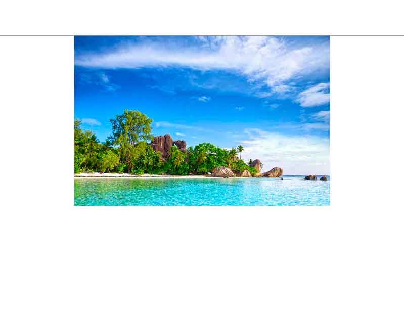 Ein idyllischer tropischer Strand mit Palmen, klarem Wasser und blauem Himmel