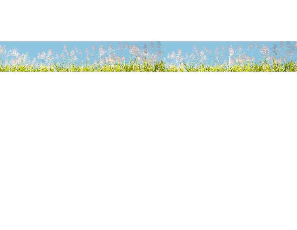 Eine Landschaft mit grüner Wiese, blühendem Gras und klarem blauen Himmel