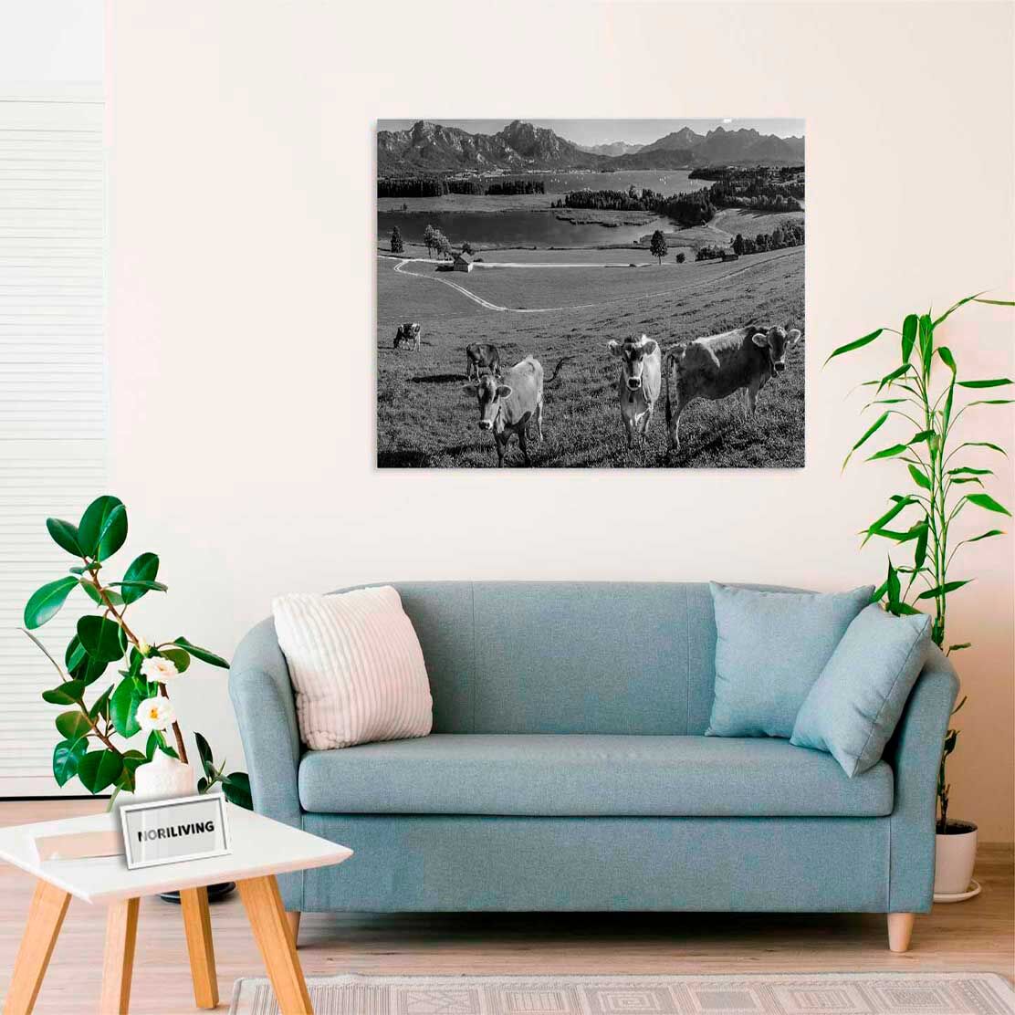 Wandbild über dem Sofa mit Motiv Panoramalandschaft mit Wiese und Bäumen 561 schwarz-weiß